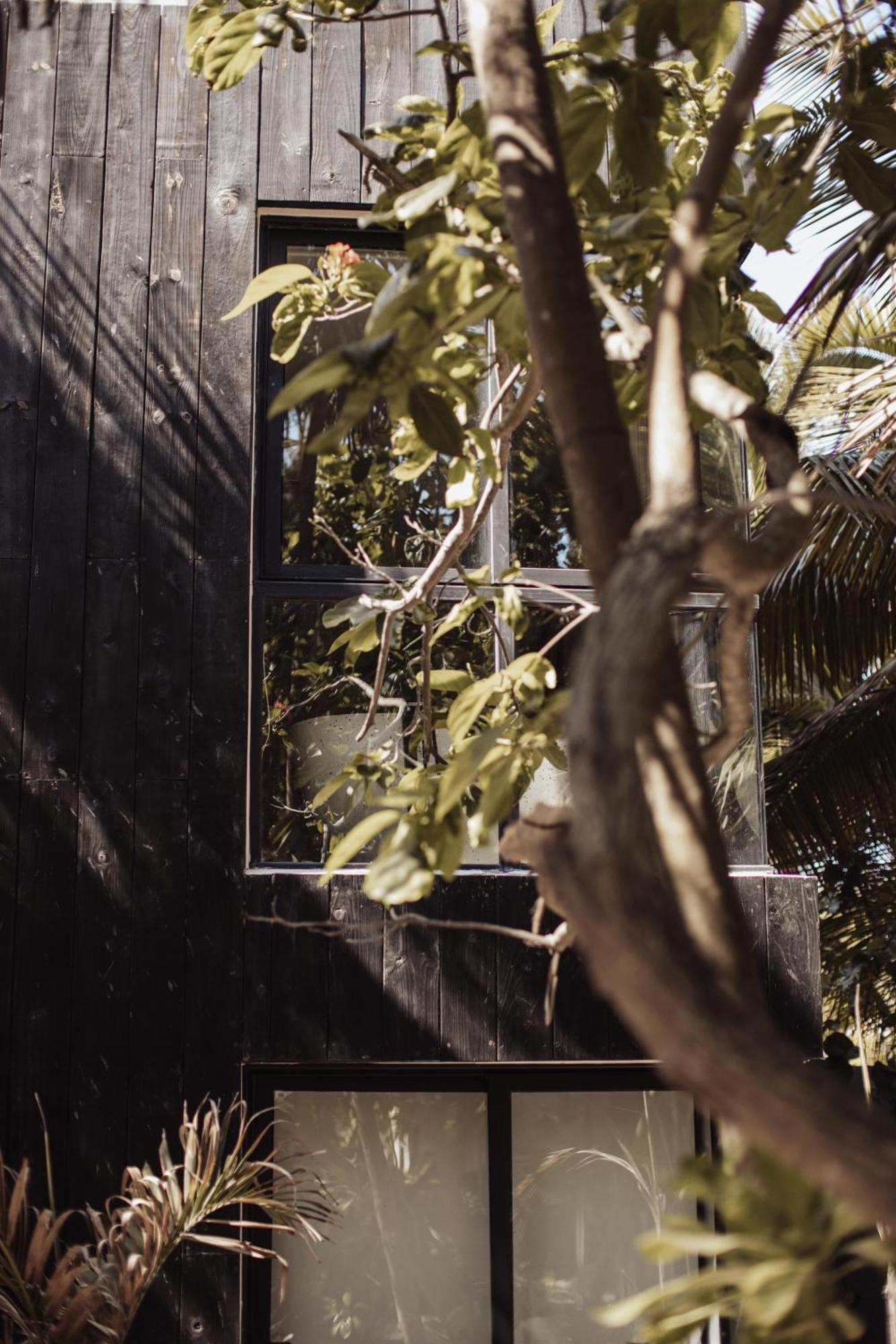 Umi Tulum Hotell Exteriör bild