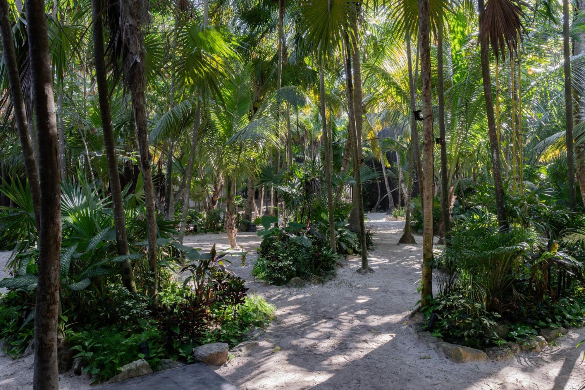 Umi Tulum Hotell Exteriör bild